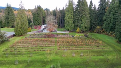 Photo 37 at 25908 124 Avenue, Websters Corners, Maple Ridge