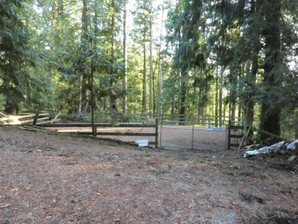 Photo 3 at 14042 232 Street, Silver Valley, Maple Ridge