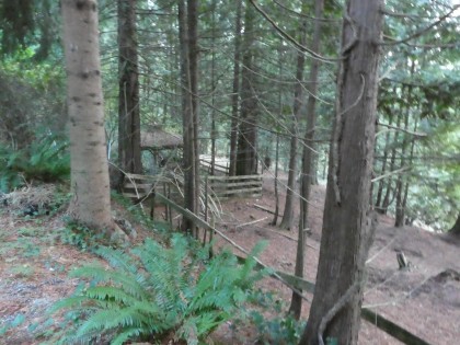 Photo 15 at 14042 232 Street, Silver Valley, Maple Ridge