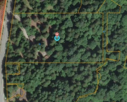 Photo 19 at 14042 232 Street, Silver Valley, Maple Ridge