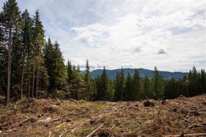 Photo 12 at 11533 Wilson Street, Mission-West, Mission