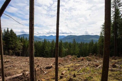 Photo 1 at 11533 Wilson Street, Mission-West, Mission