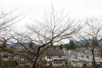 Photo 21 at 300 - 1966 Coquitlam Avenue, Glenwood PQ, Port Coquitlam