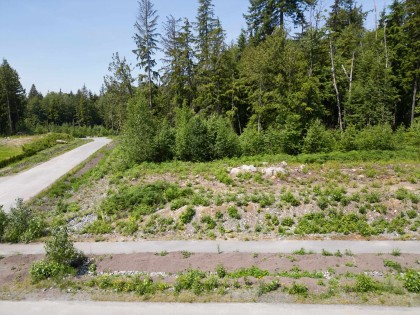 Photo 3 at 12475 271 Street, Northeast, Maple Ridge