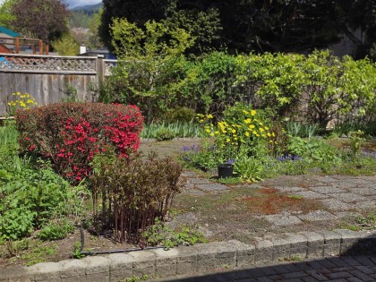 Photo 33 at 1273 Lynwood Avenue, Oxford Heights, Port Coquitlam