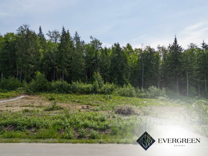 Photo 3 at 12522 271 Street, Northeast, Maple Ridge