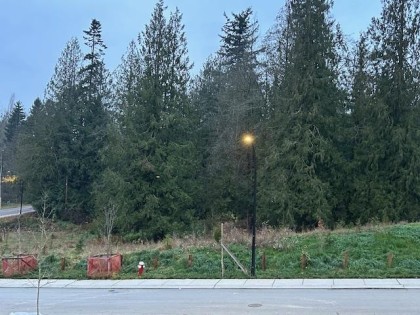 Photo 36 at 11030 241a Street, Cottonwood MR, Maple Ridge