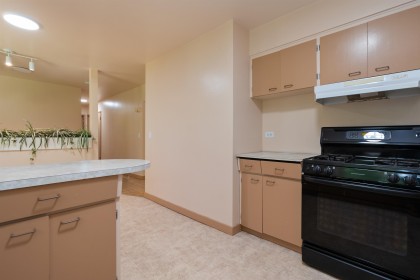 Photo 16 at 3687 Coast Meridian Road, Glenwood PQ, Port Coquitlam