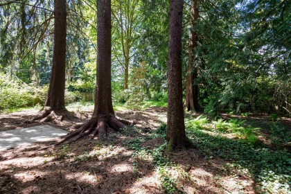 Photo 38 at 3687 Coast Meridian Road, Glenwood PQ, Port Coquitlam