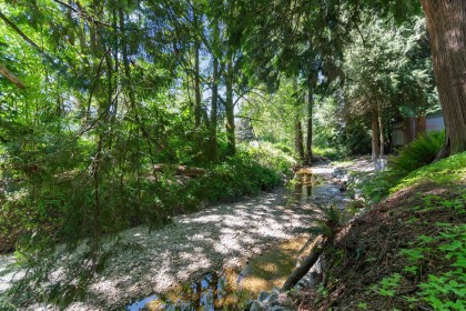 Photo 39 at 3687 Coast Meridian Road, Glenwood PQ, Port Coquitlam