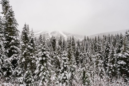 Photo 34 at 20806 Sakwi Creek Road, Hemlock, Mission