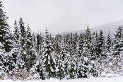 Photo 31 at 20806 Sakwi Creek Road, Hemlock, Mission