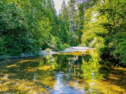 Photo 9 at 22696 132 Avenue, East Central, Maple Ridge