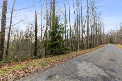 Photo 17 at 30990 Olson Avenue, Mission-West, Mission