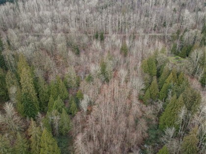 Photo 12 at 30990 Olson Avenue, Mission-West, Mission