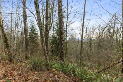 Photo 20 at 30990 Olson Avenue, Mission-West, Mission