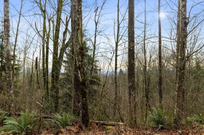 Photo 18 at 30990 Olson Avenue, Mission-West, Mission