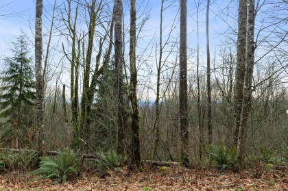 Photo 19 at 30990 Olson Avenue, Mission-West, Mission