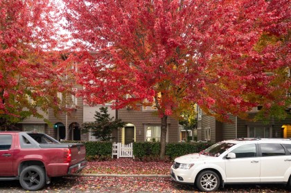 Photo 22 at 129 - 2418 Avon Place, Riverwood, Port Coquitlam