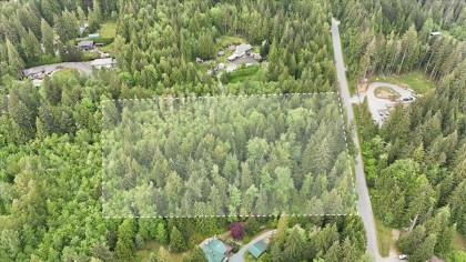 Photo 5 at 12111 Garibaldi Street, Northeast, Maple Ridge