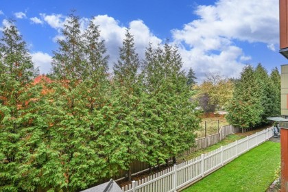 Photo 22 at 225 - 12085 228 Street, East Central, Maple Ridge