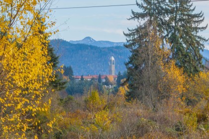 Photo 31 at 33625 Ferndale Avenue, Mission BC, Mission