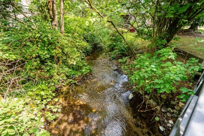 Photo 38 at 12 - 3228 Raleigh Street, Central Pt Coquitlam, Port Coquitlam