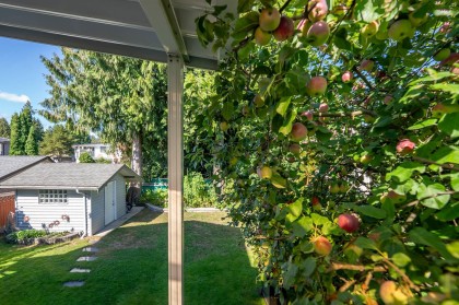 Photo 30 at 773 Prairie Avenue, Lincoln Park PQ, Port Coquitlam