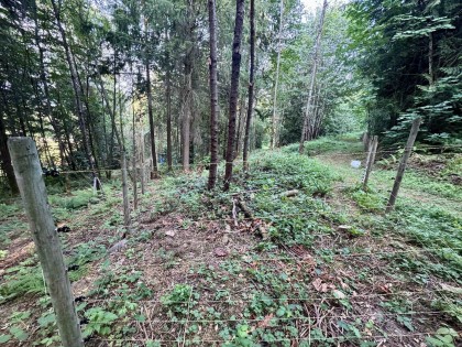 Photo 38 at 10160 Rolley Crescent, Thornhill MR, Maple Ridge