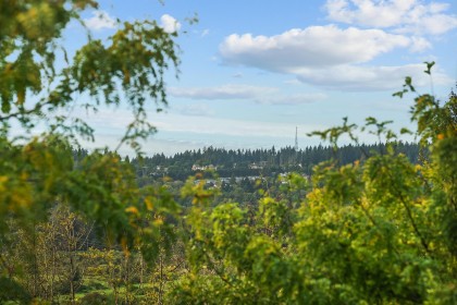 Photo 39 at 46 - 1238 Eastern Drive, Citadel PQ, Port Coquitlam