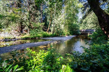 Photo 37 at 22592 132 Avenue, East Central, Maple Ridge