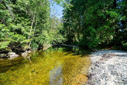 Photo 39 at 22592 132 Avenue, East Central, Maple Ridge