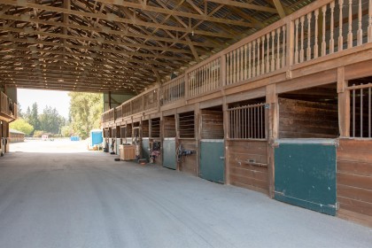 Photo 32 at 21973 132 Avenue, North Maple Ridge, Maple Ridge