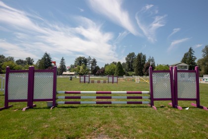 Photo 38 at 21973 132 Avenue, North Maple Ridge, Maple Ridge