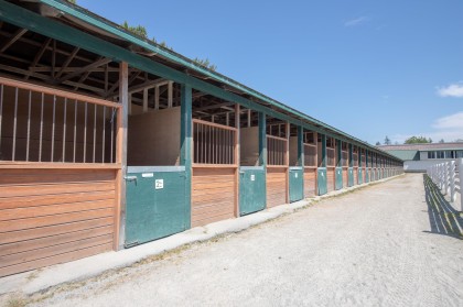 Photo 39 at 21973 132 Avenue, North Maple Ridge, Maple Ridge