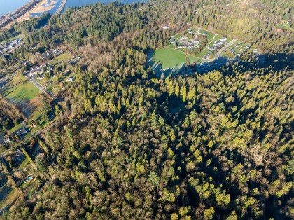 Photo 5 at 8904 Manzer Street, Mission-West, Mission