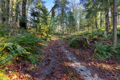 Photo 15 at 8904 Manzer Street, Mission-West, Mission