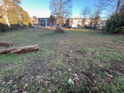 Photo 10 at 11951 222 Street, West Central, Maple Ridge