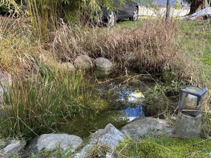 Photo 14 at 11191 Stave Lake Road, Durieu, Mission