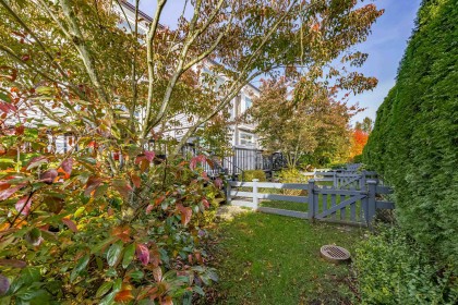 Photo 26 at 24 - 2423 Avon Place, Riverwood, Port Coquitlam