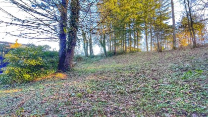 Photo 32 at 32492 Cherry Avenue, Mission BC, Mission