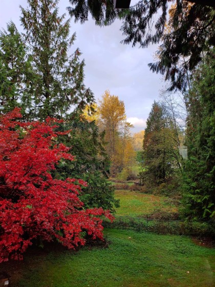 Photo 24 at 25855 112 Avenue, Thornhill MR, Maple Ridge