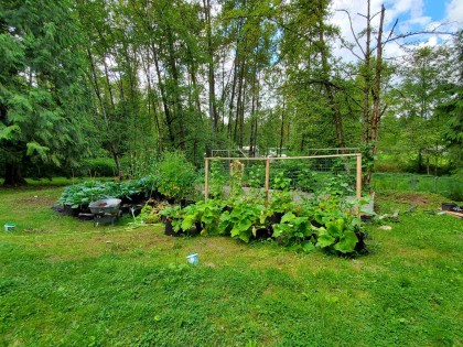 Photo 29 at 25855 112 Avenue, Thornhill MR, Maple Ridge