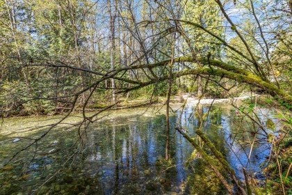 Photo 29 at 13209 232 Street, East Central, Maple Ridge