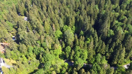 Photo 13 at 23287 141 Avenue, Silver Valley, Maple Ridge