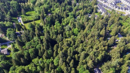 Photo 16 at 23287 141 Avenue, Silver Valley, Maple Ridge