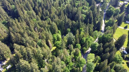 Photo 14 at 23287 141 Avenue, Silver Valley, Maple Ridge