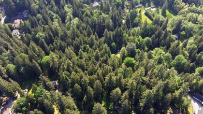 Photo 15 at 23287 141 Avenue, Silver Valley, Maple Ridge