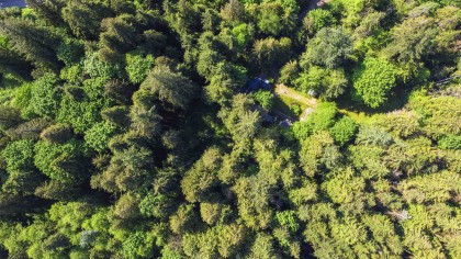 Photo 19 at 23287 141 Avenue, Silver Valley, Maple Ridge