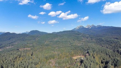 Photo 25 at 23287 141 Avenue, Silver Valley, Maple Ridge